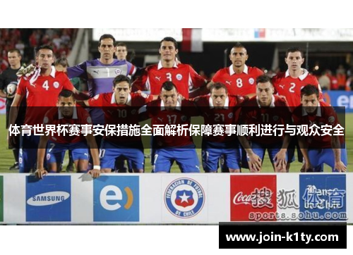 体育世界杯赛事安保措施全面解析保障赛事顺利进行与观众安全