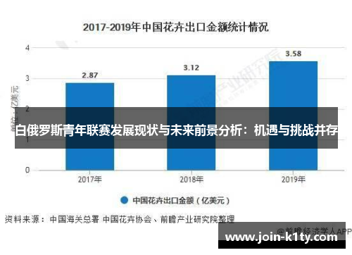 白俄罗斯青年联赛发展现状与未来前景分析：机遇与挑战并存