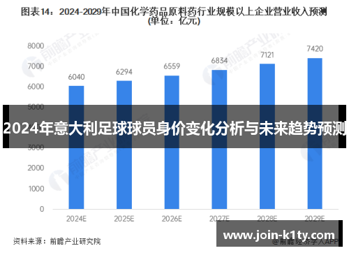 2024年意大利足球球员身价变化分析与未来趋势预测