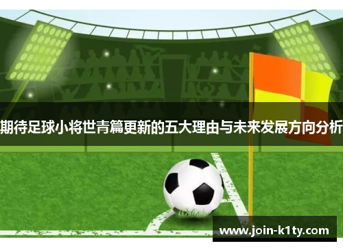 期待足球小将世青篇更新的五大理由与未来发展方向分析